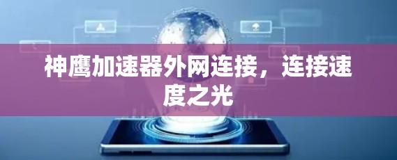 神鹰加速器外网连接，连接速度之光