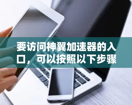 要访问神翼加速器的入口，可以按照以下步骤进行