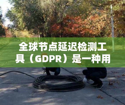 全球节点延迟检测工具（GDPR）是一种用于检测网络延迟的工具，主要用于确保数据传输的稳定性和可靠性。以下是对GDPR工具的详细分析