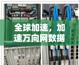 全球加速，加速万向网数据流
