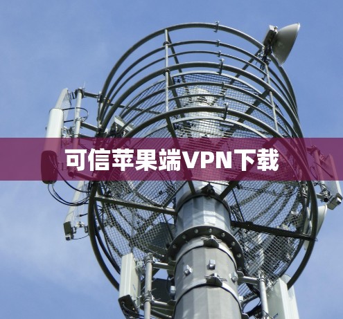 可信苹果端VPN下载