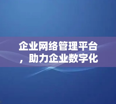 企业网络管理平台，助力企业数字化转型的中坚力量