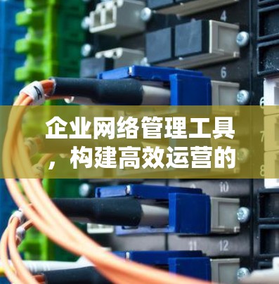 企业网络管理工具，构建高效运营的网络环境