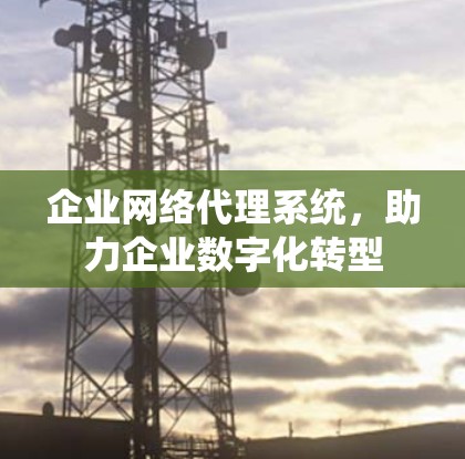 企业网络代理系统，助力企业数字化转型