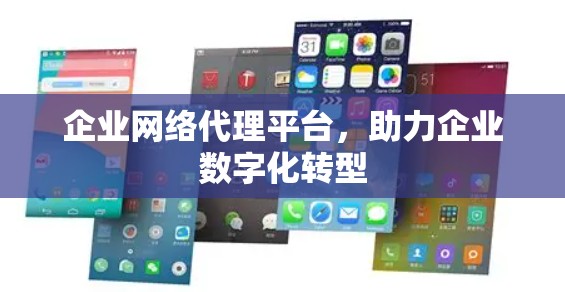 企业网络代理平台，助力企业数字化转型