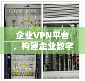 企业VPN平台,构建企业数字化管理新范式 企业VPN平台,构建企业数字化管理新范式