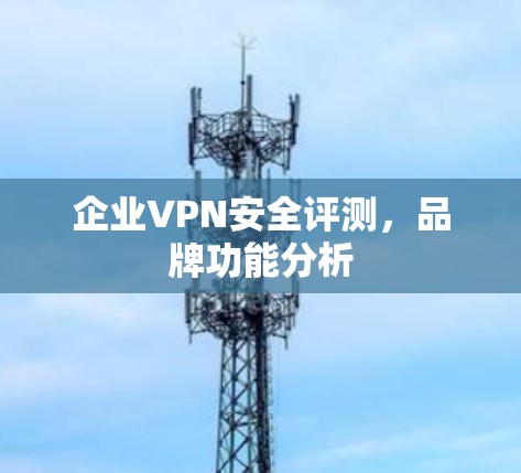 企业VPN安全评测，品牌功能分析