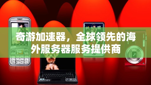 奇游加速器，全球领先的海外服务器服务提供商