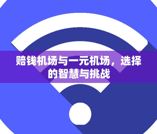 赔钱机场与一元机场，选择的智慧与挑战
