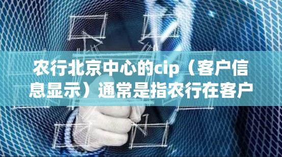 农行北京中心的cip（客户信息显示）通常是指农行在客户信息管理上的一个功能模块，旨在通过大数据和人工智能技术来优化客户体验、提升客户忠诚度和运营效率