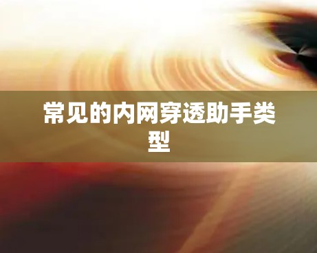 常见的内网穿透助手类型