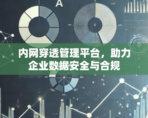 内网穿透管理平台，助力企业数据安全与合规