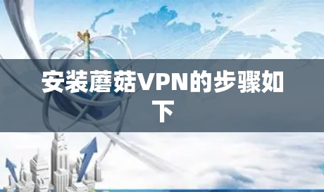安装蘑菇VPN的步骤如下