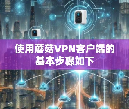 使用蘑菇VPN客户端的基本步骤如下