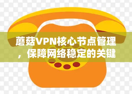 蘑菇VPN核心节点管理，保障网络稳定的关键力量
