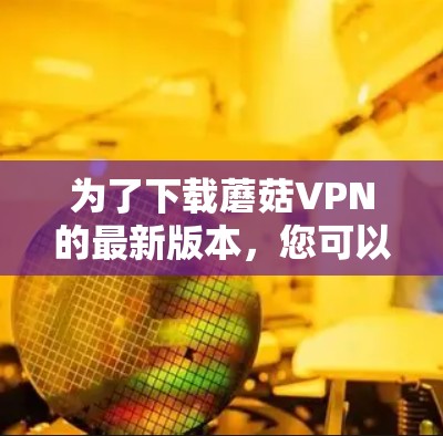 为了下载蘑菇VPN的最新版本，您可以按照以下步骤操作