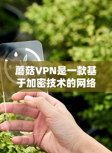 蘑菇VPN是一款基于加密技术的网络VPN服务，旨在提供高度安全的网络访问体验，满足用户对数据隐私和网络安全的多重需求。以下是对蘑菇VPN功能的详细介绍