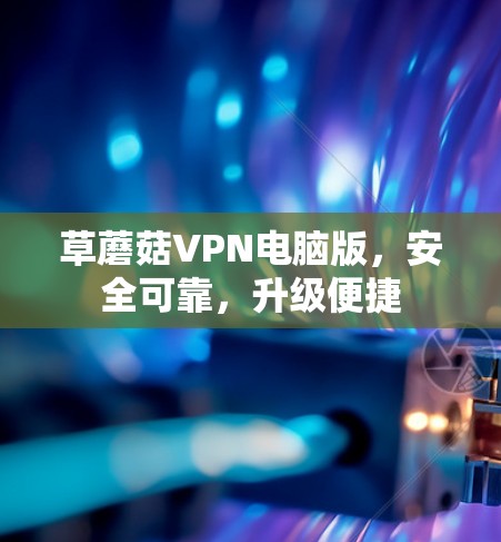 草蘑菇VPN电脑版，安全可靠，升级便捷