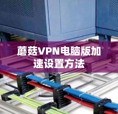 蘑菇VPN电脑版加速设置方法