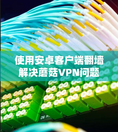 使用安卓客户端翻墙解决蘑菇VPN问题的步骤如下