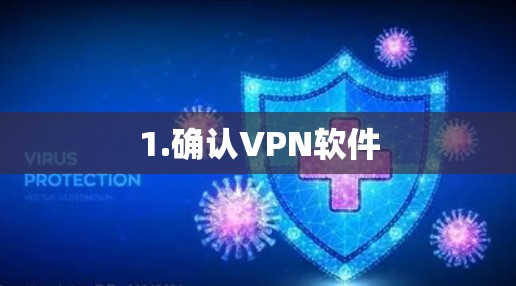 1.确认VPN软件