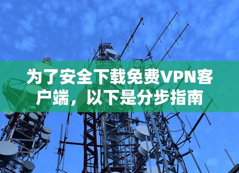 为了安全下载免费VPN客户端，以下是分步指南